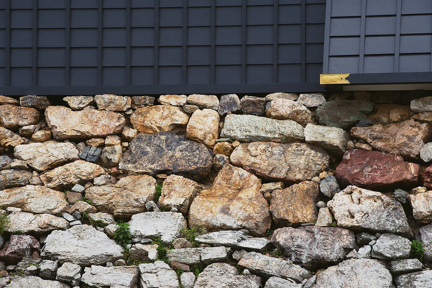 🌳 하마마쓰성 공원 (하마마츠죠 코엔) 이미지 5